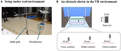 Placing the leading limb closer to an obstacle reduces collision of the trailing limb: an investigation in a virtual environment